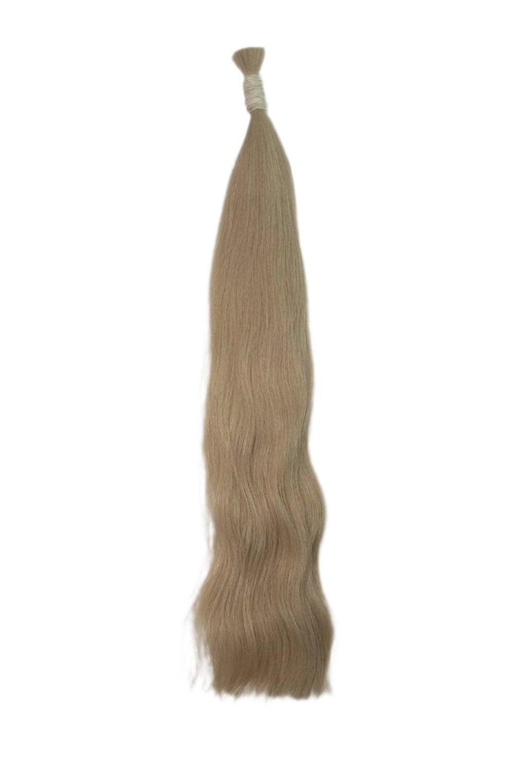 Cheveux : Blond Platine 10 - Ton Naturel - 50g